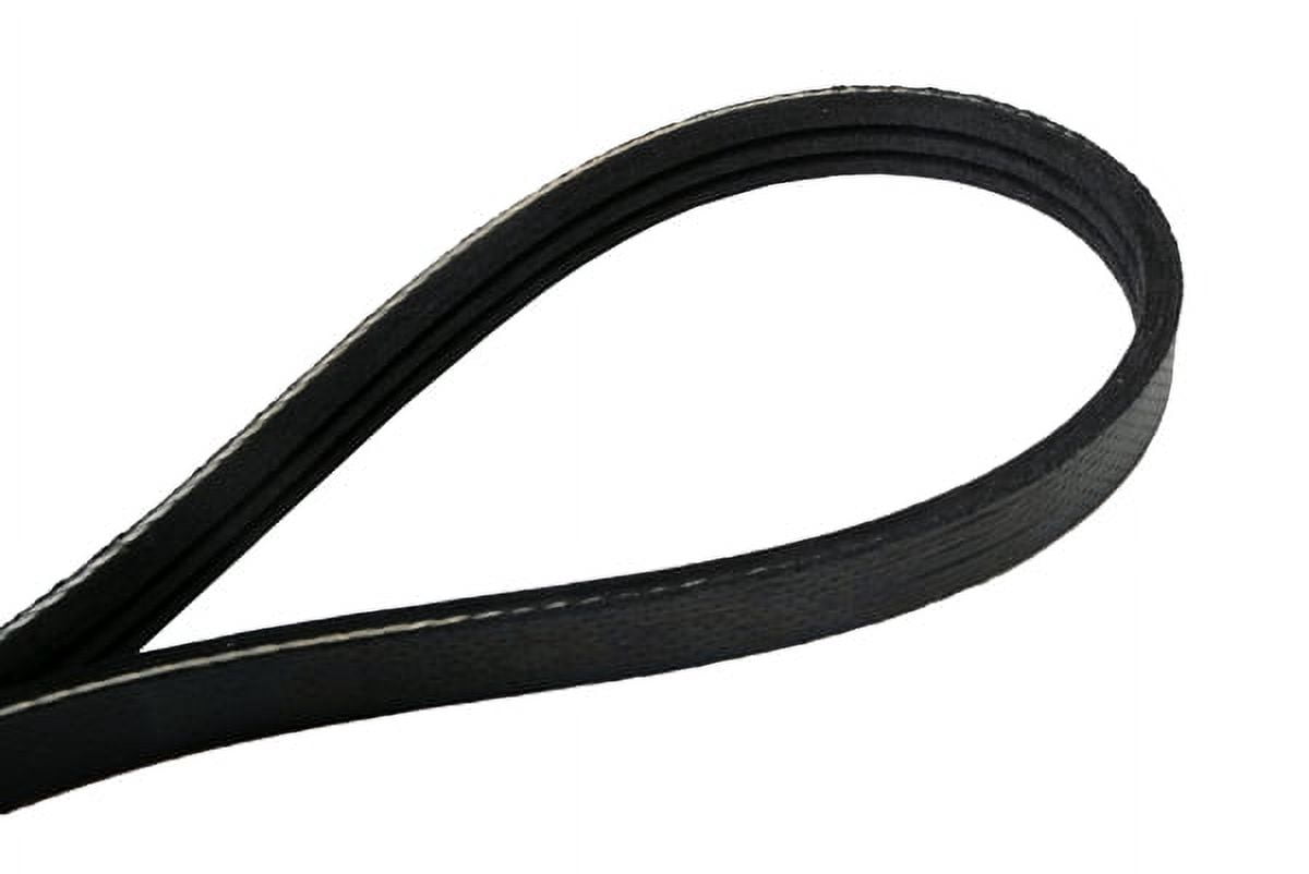 Automotive Multi-V Stretch Belt