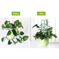 thumbnail image 6 of AMERTEER  Garden Trellis for Climbing Plants set 27 PCS Plastic Indoor Trellis for Potted Plants Green Stackable Leaf Shape Mini Climbing Plant Stakes DIY Flower Pot Support for Pea Vegetable Clematis, 6 of 9