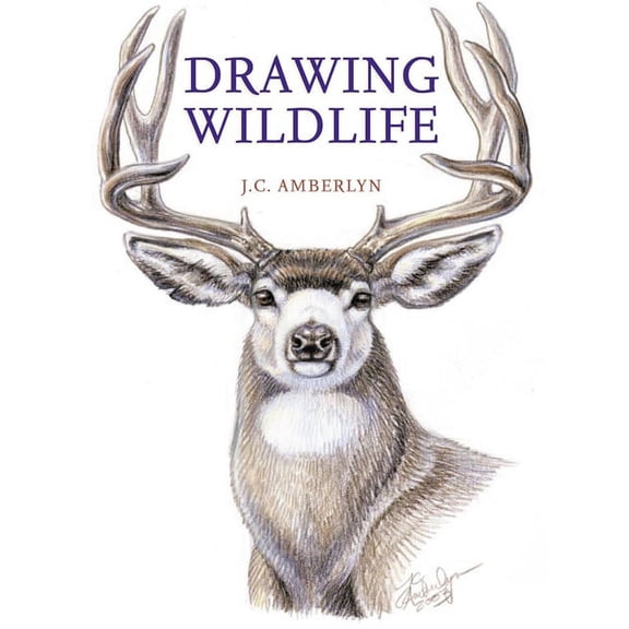 Drawing Wildlife, (Paperback)