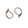 thumbnail image 2 of 50pcs Latón Metal Palanca Hacia Atrás Pendientes De Aro Hallazgos Componentes Para DIY Danlge Pendientes Que Hacen Cobre Baoblaze Gancho de alambre de oreja de Leverback francés, 2 of 5