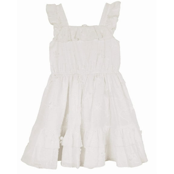 Rare Editions Toddler & Little Girls Embroidered Clip Dot Dress - WHITE