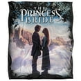 thumbnail image 2 of Princess Bride Storybook Love Officially Licensed Silky Touch Super Soft Throw Blanket 50' x 60', 2 of 6