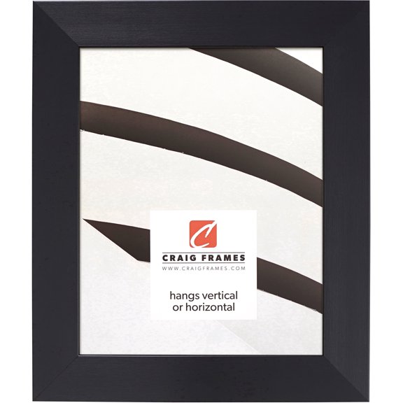 Craig Frames Modern Aesthetics 150, 20x27 inch Picture Frame, Black