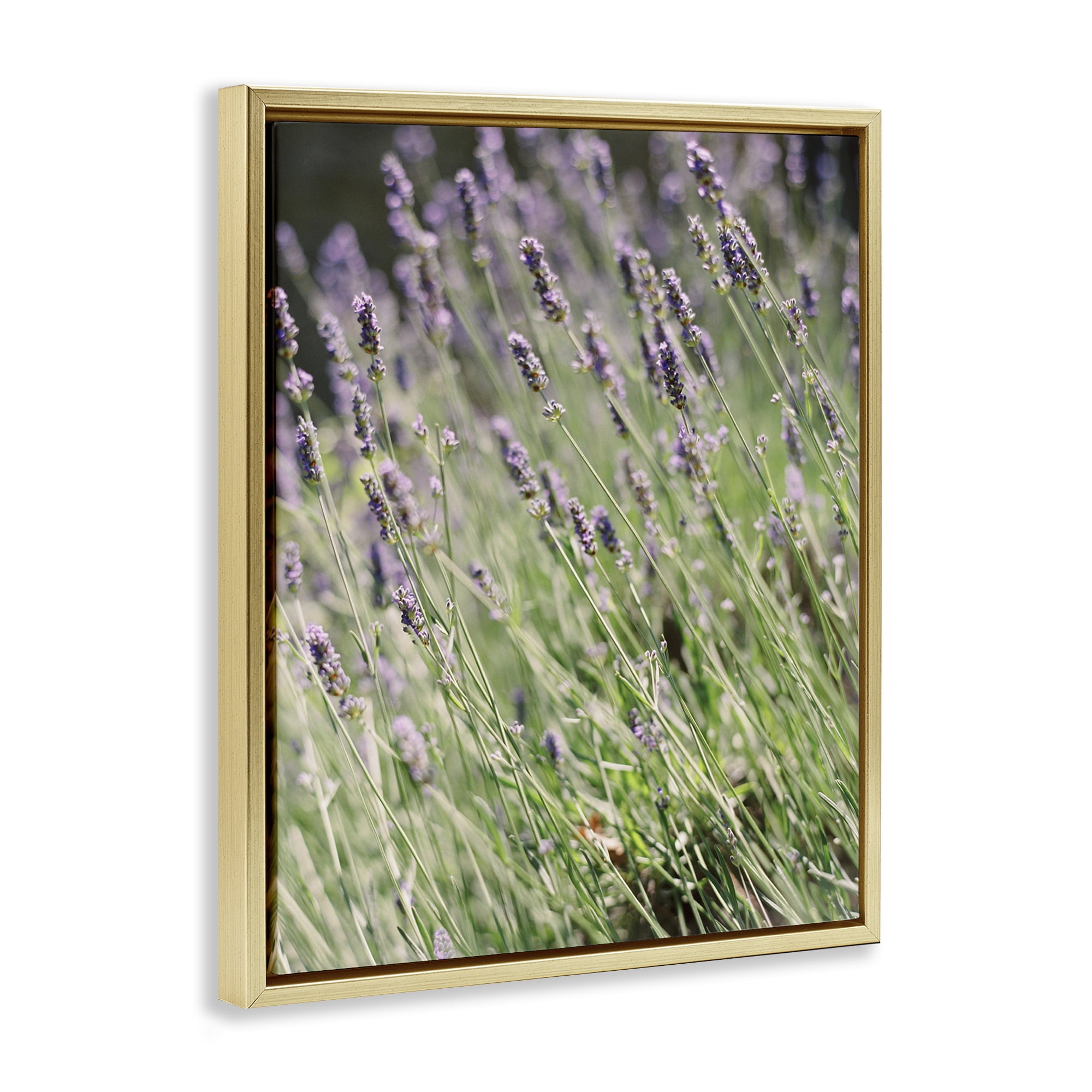 Stupell Industries Country Lilac Garden Botanical & Floral Photography Gold Floater Framed Art Print Wall Art, 25 x 31
