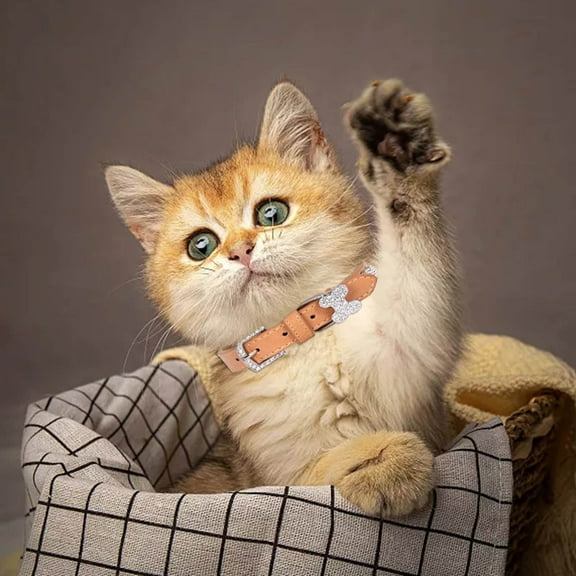 Sparkling Bone Design Pet Collar with Buckle Closure for Dogs and Cats Comfortable Adjustable Nylon Strap