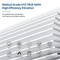 thumbnail image 2 of 3000 Replacement Filters Compatible with A DOCTOR 3000 4in1 Home Air Purifier,H13 True HEPA and Extra Carbn Pre-Filters, 2 of 5