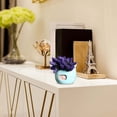 thumbnail image 2 of Dsscvnef Liquor Cabinet Minimalist Home Accessory Stylish Desktop Ornament Modern Bar Display Piece, 2 of 7