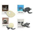 thumbnail image 4 of Juego de crecimiento Zulema figuras de animales modelo de etapa de crecimiento, 4 of 8