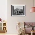 thumbnail image 3 of Historic Framed Print, Migratory field worker picking cotton in San Joaquin Valley, California. These pickers are paid seventy-five cents per hundred pounds of picked cotton. - 2, 17-7/8" x 21-7/8", 3 of 9