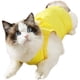 thumbnail image 1 of Traje de gato Anti-lamer cirugía anti-extracción traje cuadrúpedo Cat star traje quirúrgico humano mascota gato traje de esterilización/castración, 1 of 5