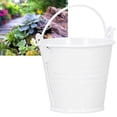 thumbnail image 4 of 10PCS Mini Succulent Flower Pot Small Metal Bucket for Indoor Outdoor Decor, 4 of 8