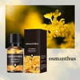 thumbnail image 6 of Volatile Oil Car Refill with Multiple Scents Relaxation Driving Comfort, 6 of 8