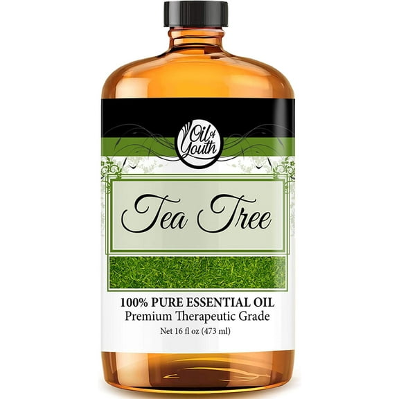 Oil of Youth Tea Tree Essential Oil, 16 fl oz