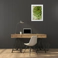 thumbnail image 3 of Berzel, Erin 11x14 White Modern Wood Framed Museum Art Print Titled - Sempervivum Succulent III, 3 of 4