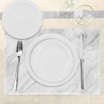 thumbnail image 3 of Ambesonne Marble Print Place Mats Set of 4, Stained Monochrome, Standard Size, White Pale Grey, 3 of 6