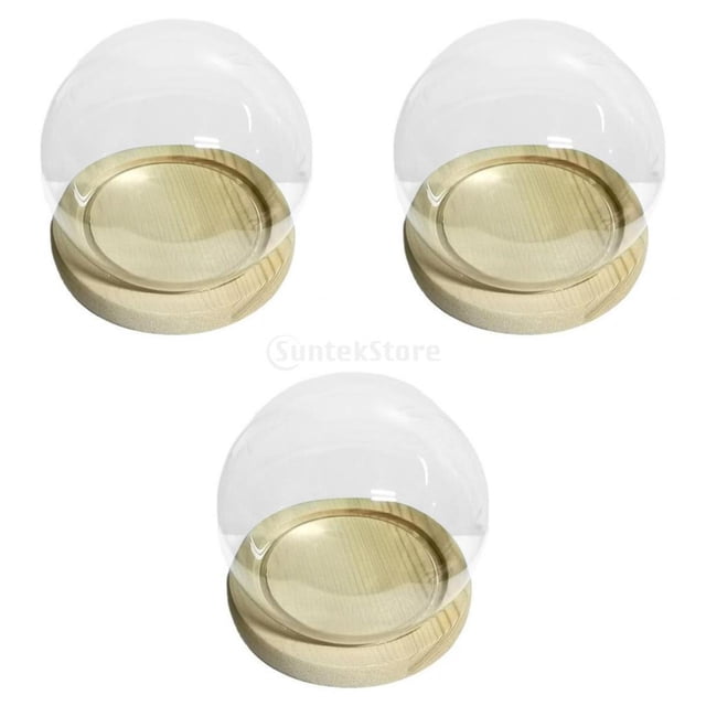 Cúpula transparente,Cúpula transparente redonda a prueba de polvo con base de madera,Contenedor de flores de plantas de micro paisaje de bricolaje,Titular de luz de hadas de casa de muñecas BLESIY Cúpula transparente