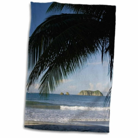 3dRose Beach palm tree, Manuel Antonio, Costa Rica - NA02 RNU0092 - Rolf Nussbaumer - Towel, 15 by