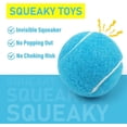 thumbnail image 3 of PrimePets Squeaky Tennis Balls for Dogs ( Yellow+ + Orange+ .Squeaky High Bounce), 3 of 6