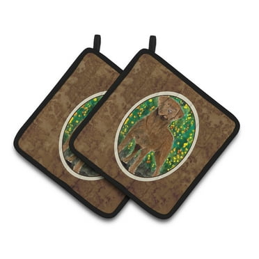 Carolines Treasures SS8969PTHD Chesapeake Bay Retriever Pair of Pot Holders 7.5HX7.5W multicolor
