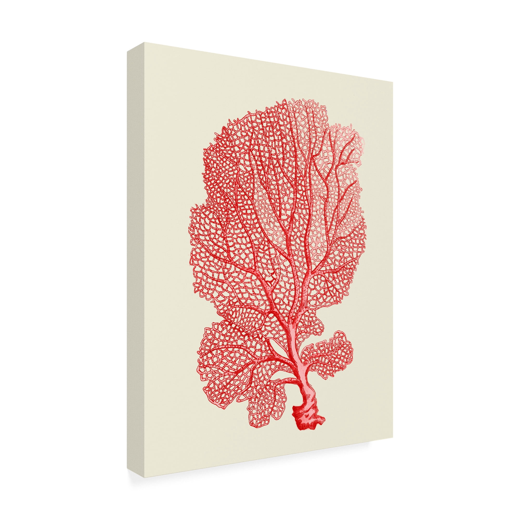 Trademark Fine Art 'Red Corals 1 b' Canvas Art by Fab Funky