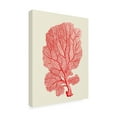 thumbnail image 2 of Trademark Fine Art 'Red Corals 1 b' Canvas Art by Fab Funky, 2 of 3