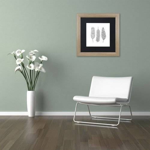 Trademark Fine Art 'Feathers' Canvas Art by Filippo Cardu Black Matte, Birch Frame