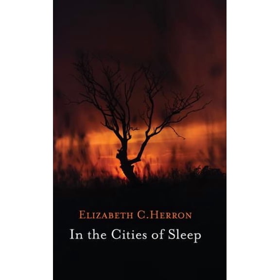 In the Cities of Sleep (Paperback)