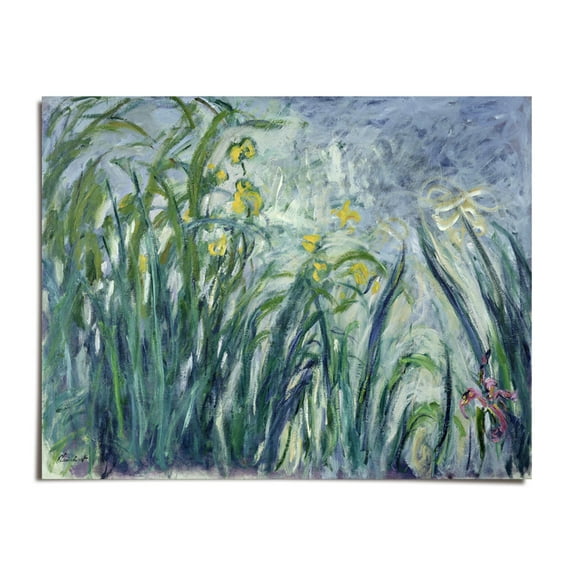 Yellow And Purple Irises, 1924-25 - Claude Monet - 8x10 - Wall Art Print - UNFRAMED