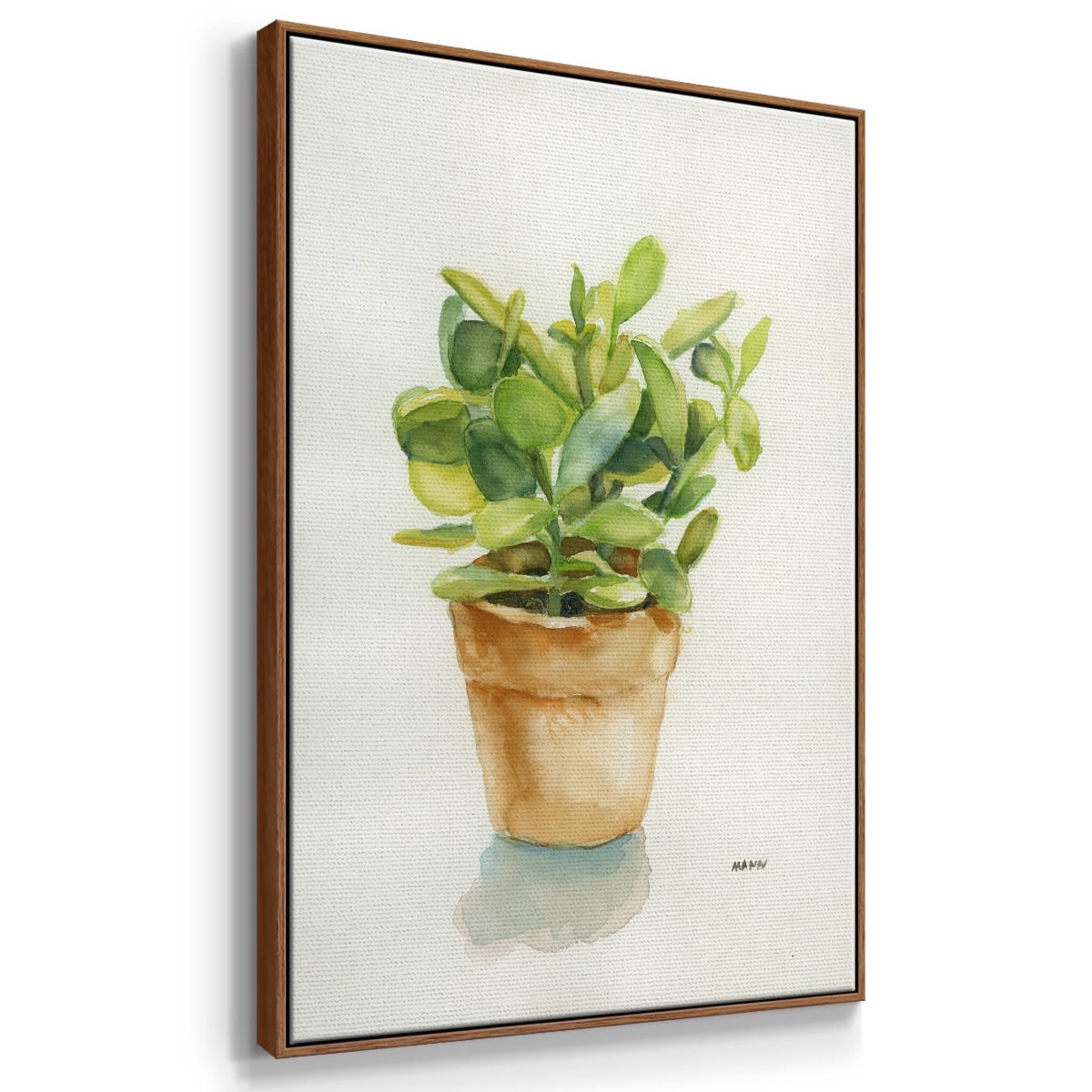 Succulent I Framed Premium Gallery Wrapped Canvas - Ready to Hang - 27 x 41 - Walnut Floating Frame