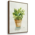 thumbnail image 3 of Succulent I Framed Premium Gallery Wrapped Canvas - Ready to Hang - 27 x 41 - Walnut Floating Frame, 3 of 9