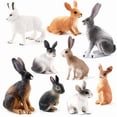 thumbnail image 1 of Juego de figuras realistas de conejo de PVC, modelos de conejos salvajes, 9 unidades, 1 of 2