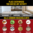 thumbnail image 6 of Catchmaster DEFIANT Liquid Ant Bait + 4 Reusable Bait Stations, Ant Traps Indoor & Outdoor, 6 of 9