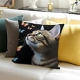 thumbnail image 3 of BANET Cat with Case Blackground Throw Pillowcase Double-Sided Pillowcase Decorative Square Cushion Cover for Sofa Bedroom Home Decor 22x22in, 3 of 5