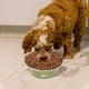 thumbnail image 3 of Stainless Steel Dog Bowl Bowl And DropFeeding Device, 3 of 4