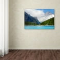 thumbnail image 3 of Trademark Fine Art 'The Travelling Song' Canvas Art by Philippe Sainte-Laudy, 3 of 3