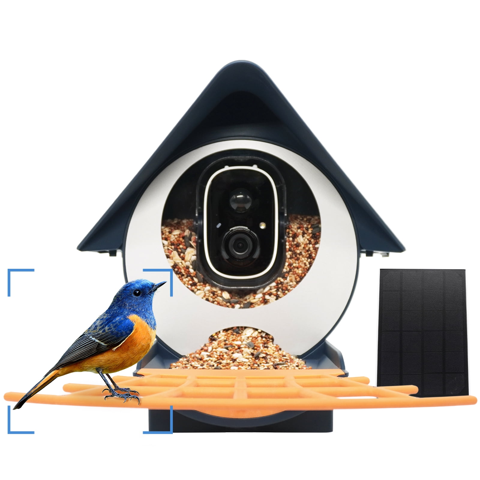 Smart Bird Feeder Camera, Birdkiss Bird Watching Camera Auto Capture