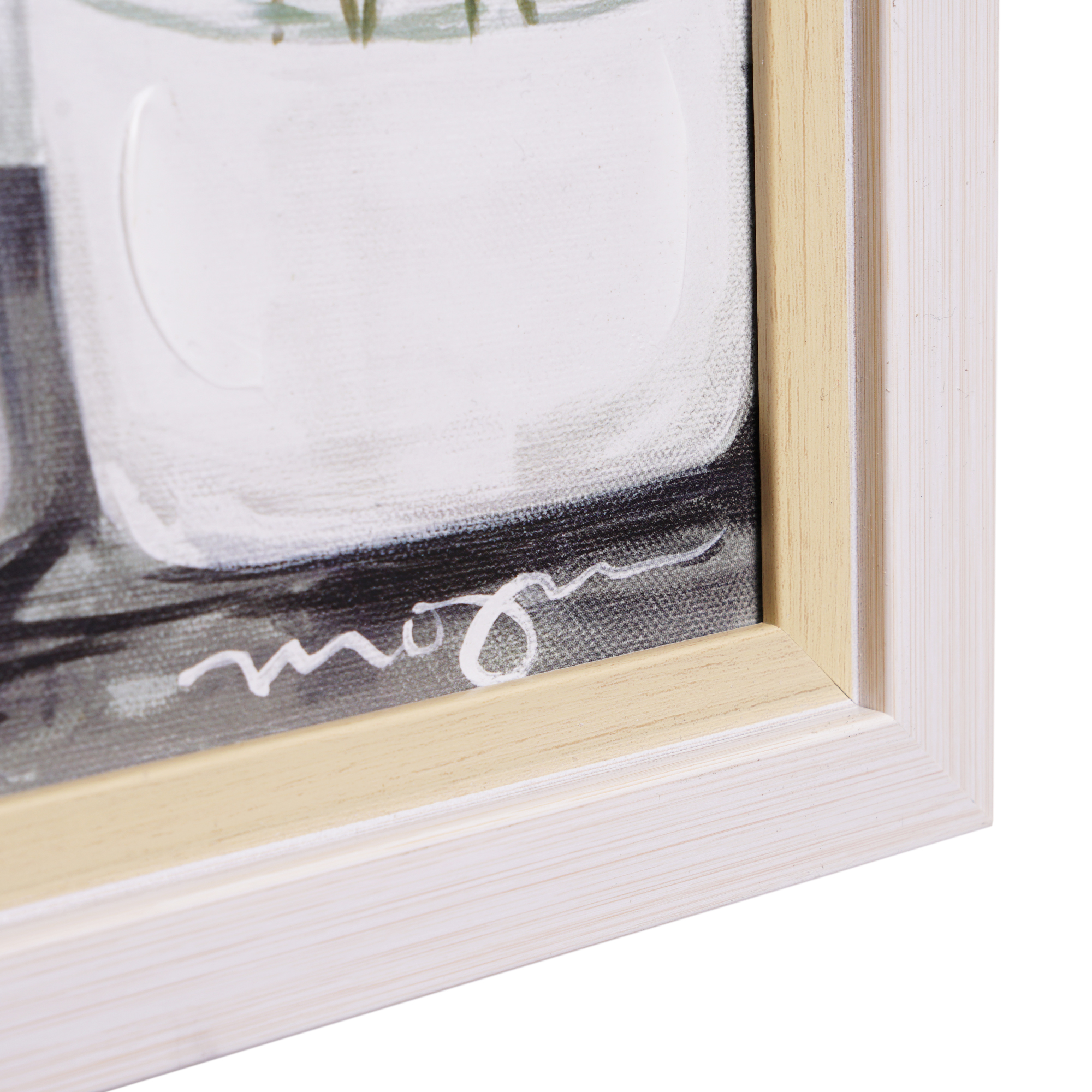Crystal Art Gallery Double Framed Botanical Wall Art, 12x22 photo 4
