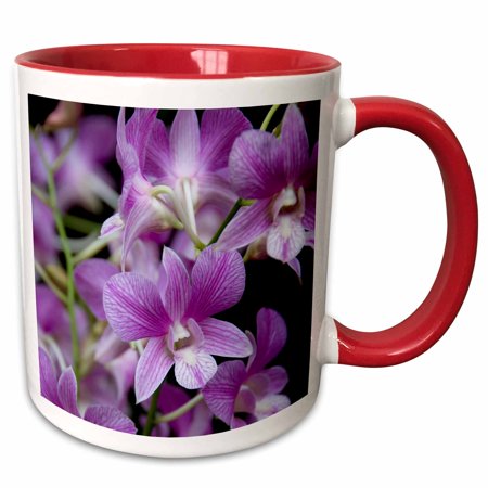 3drose, Singapore, National Orchid Garden -as32 Cmi0078 - Cindy Miller Hopkins, 15oz Two-tone Red Mug