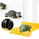 thumbnail image 2 of Nikou Plataforma para Tomar el Sol - Plataforma Flotante de Tortuga Tortuga Reptil Ajustable terraza no tóxica para pecera de Acuario, 2 of 5