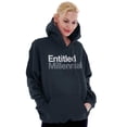 thumbnail image 4 of Entitled Millennial Funny Sarcastic Unisex Plus Fleece Graphic Hoodie Brisco Brands 3X, 4 of 5