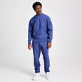 thumbnail image 5 of Champion Adult Sizing Iconic Embroidered Crewneck Sweatshirt - Gray Blue, Size XS-4XL, 5 of 5
