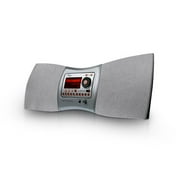 SA10001 SKYFi Audio System