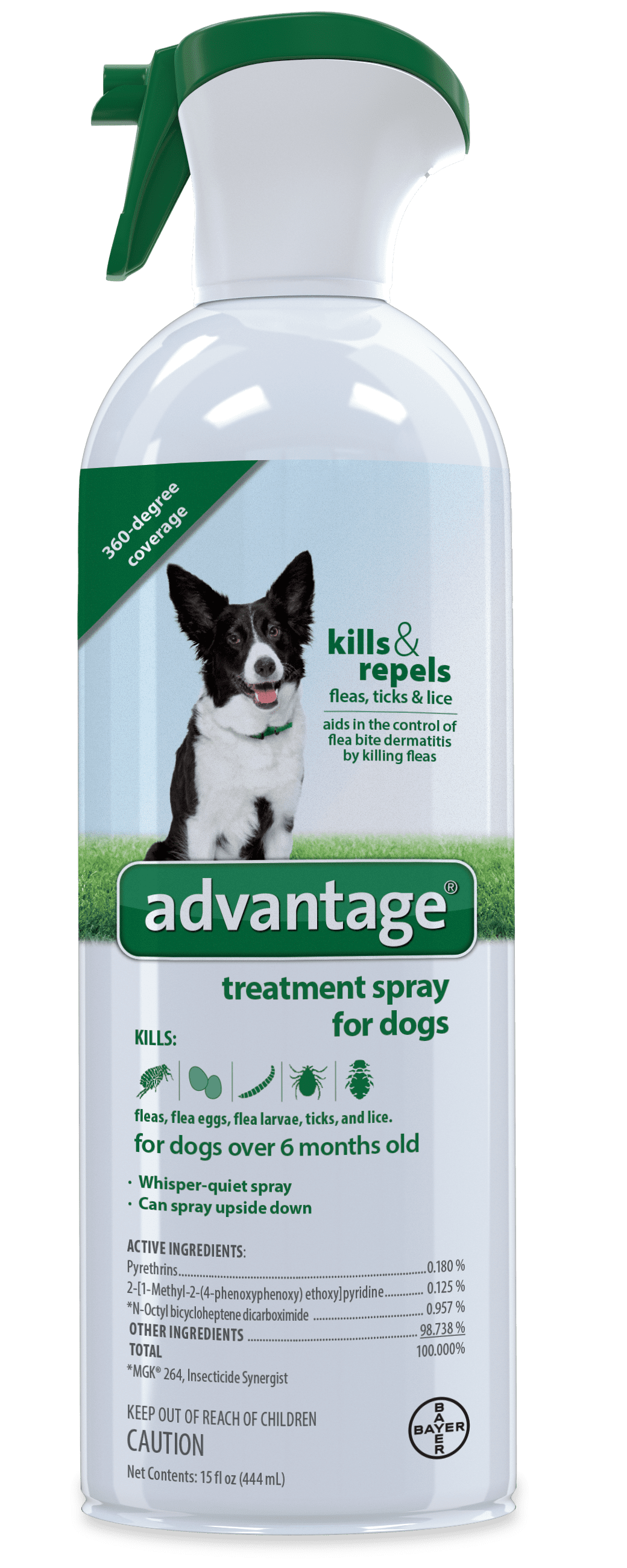 flea and tick medicine flea and tick medicine