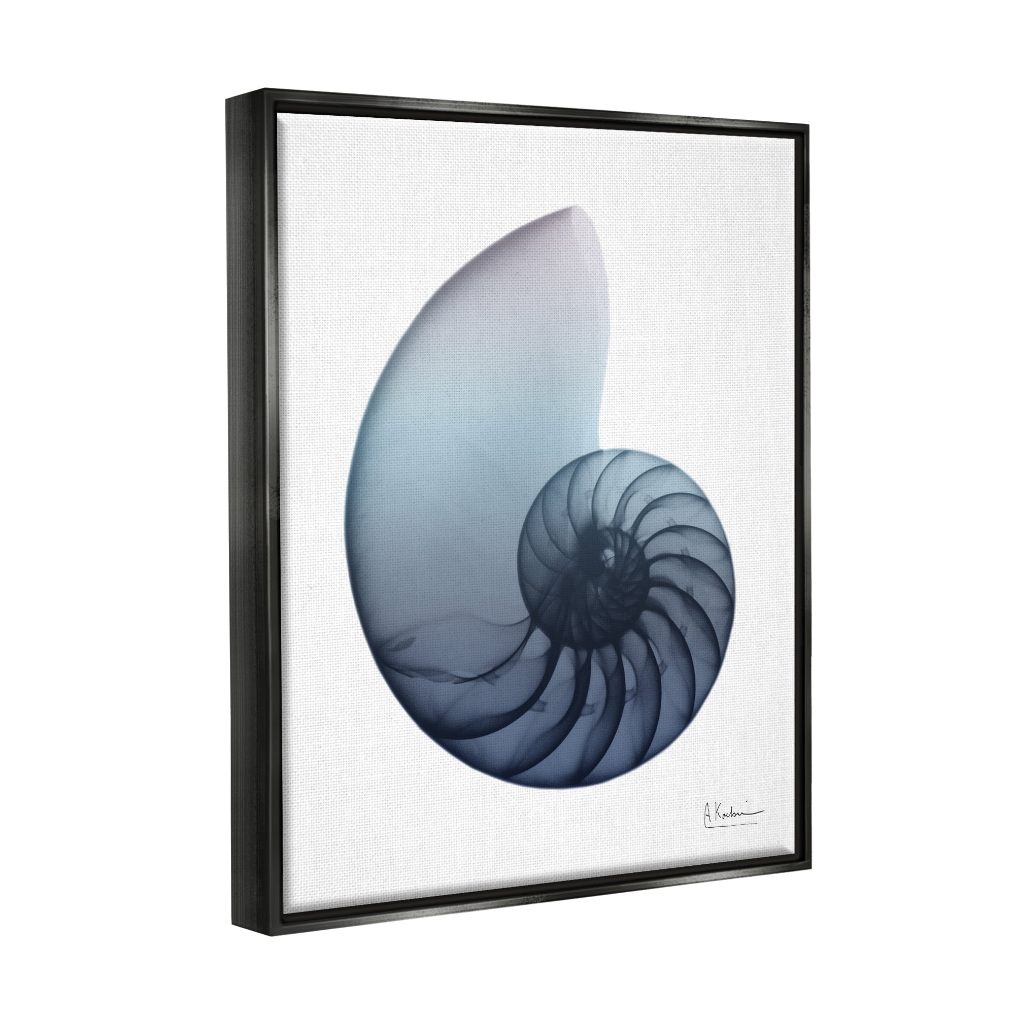 Stupell Industries Contemporary Nautilus Shell Abstract Photography Black Floater Framed Art Print Wall Art, 25 x 31