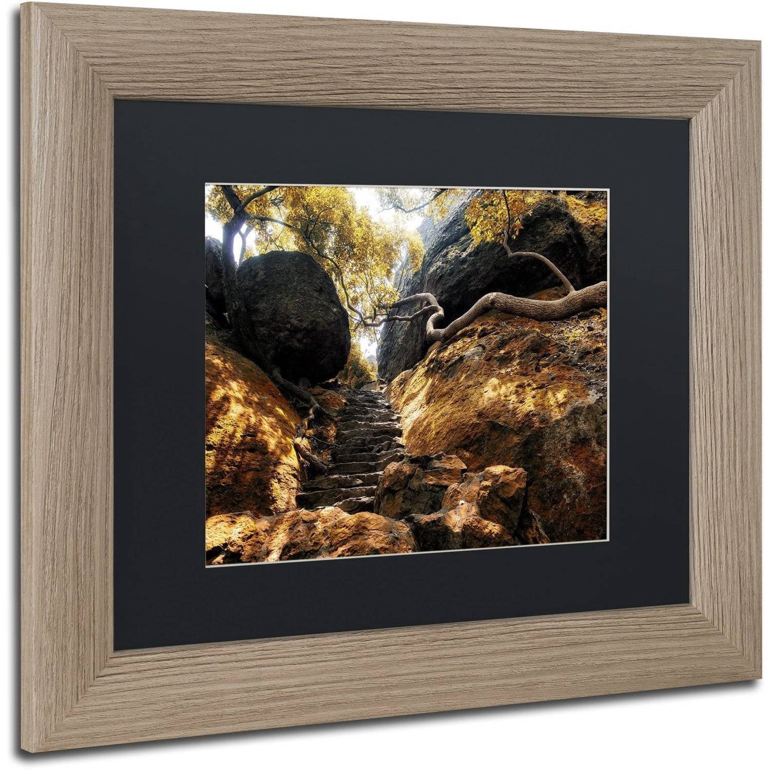 Trademark Fine Art "Autumn Forest" Canvas Art by Philippe Hugonnard, Black Matte, Birch Frame