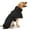 Black Pet Jacket, variant on Double Layer Dog Winter Jacket Waterproof Windproof Reflective Adjustable Warm Coat for Small Medium Large Dogs