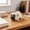 white, variant on Rijanmt Squishies Pug Dog Squeeze Stress Relief for Adults,Soft Foam Slow Rising Sensory Fidget Decor,Pitching Anxiety & Anger Reducing Animal Dough,Party Favors,Gifts Idea
