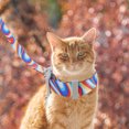 thumbnail image 4 of Cat Traction Rope Outdoor Cat Walking Rope Decorative Kitten Leash Portable Cat Dog Leash, 4 of 9