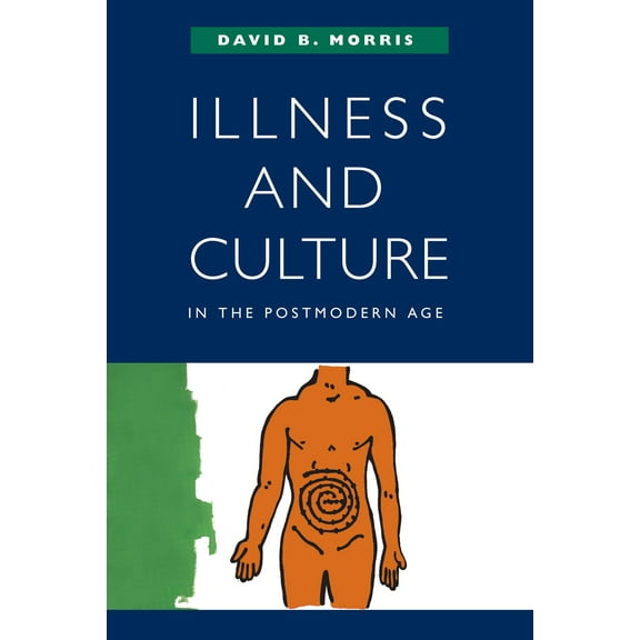 Illness and Culture in the Postmodern Age (Edition 1) (Paperback)