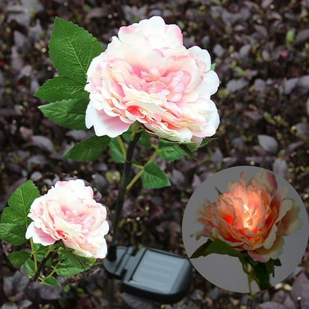 

asjyhkr LED Solar Rose Peony Flower Lamp Garden Decoration Lamp